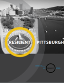 Preliminary Resilience Strategy